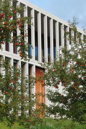 Literaturmuseum der Moderne, David Chipperfield Architects, Marbach am Neckar, Deutschland, Apfelbäume,Rasterfassade