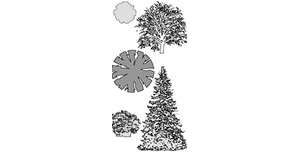 vector trees - top view and elevation
