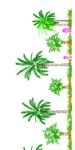 CAD Library: 4 Palm Trees