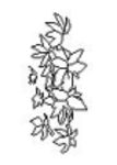 CAD Library: Leaves - Bush or Climbing Plant