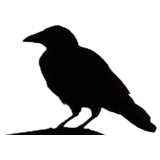 bird, sitting, silhouette