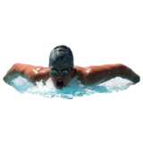 Schwimmer, tauchend