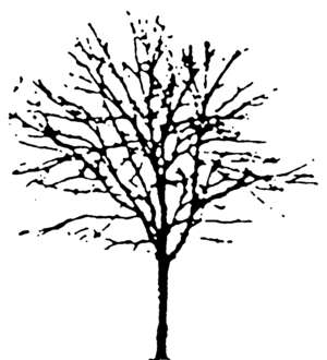 Baum, Winter, abstrakt