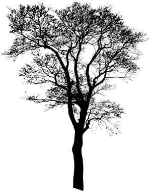 Baum, Winter, Scherenschnitt