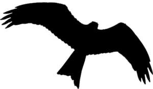 Red Kite (Bird) silhouette