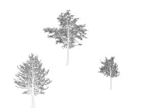 Vektor Bäume 