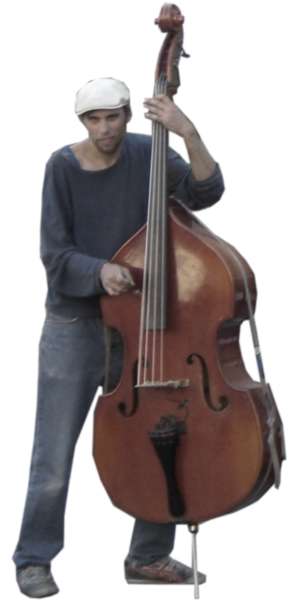 musician, double bass, playing