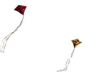 2 kites
