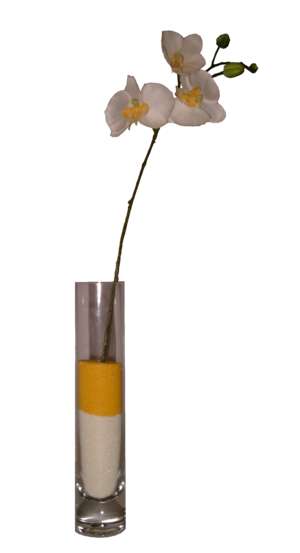 Vase mit Blume