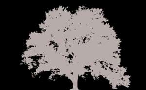 tree, oak, silhouette