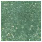 Water surface (greenish)
