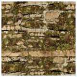 mossy stone wall