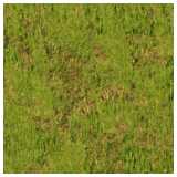 Meadow - green grass