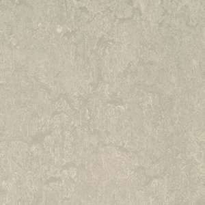 Concrete - beige-colored