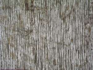 Vertically grained wood