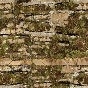 mossy stone wall