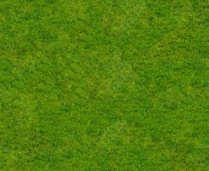 seamless spring grass texture