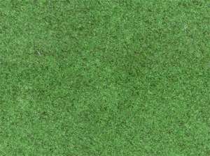 grünes Gras