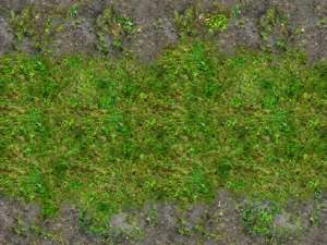 Gras / Wiese mit Erde Variante 1